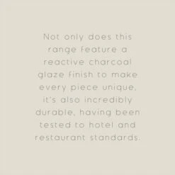 The Edited Life Urban Dinner Charcoal Plate -Kitchen Warehouse 1000184412 alt09