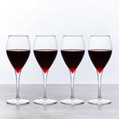 Dunelm Set Of 4 Red Wine Glasses