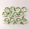 Dunelm Set Of 12 Gerbera Napkin Rings 7cm 2 Dunelm Set Of 12 Gerbera Napkin Rings 7cm -Kitchen Warehouse 30724546