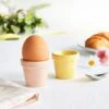Dunelm Set Of 2 Plant Pot Egg Cups -Kitchen Warehouse 30798435